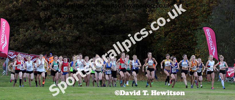 Start of the junior womens  National Cross Country Relays. Photo: David T. Hewitson/Sports for All Pics